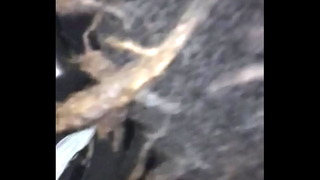 Blowjob
