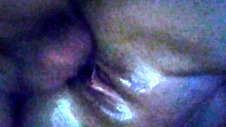 Bull Creampies Hotwife