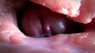 Compilacao De Esporradelas