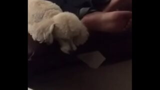 Couch Feet