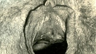 Dark Lantern Entertainment Presents ‘Vintage Closeups’ From My Secret Life, The Erotic Confessions Of A Victorian