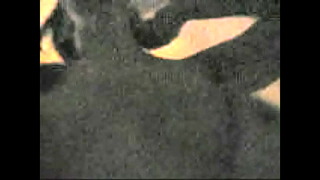 Hard Nipple Teen Fucking