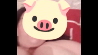 Pig BBW