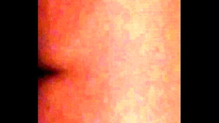 Ruiva D.