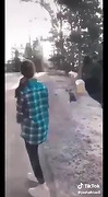 Pakistani tiktok star scandel